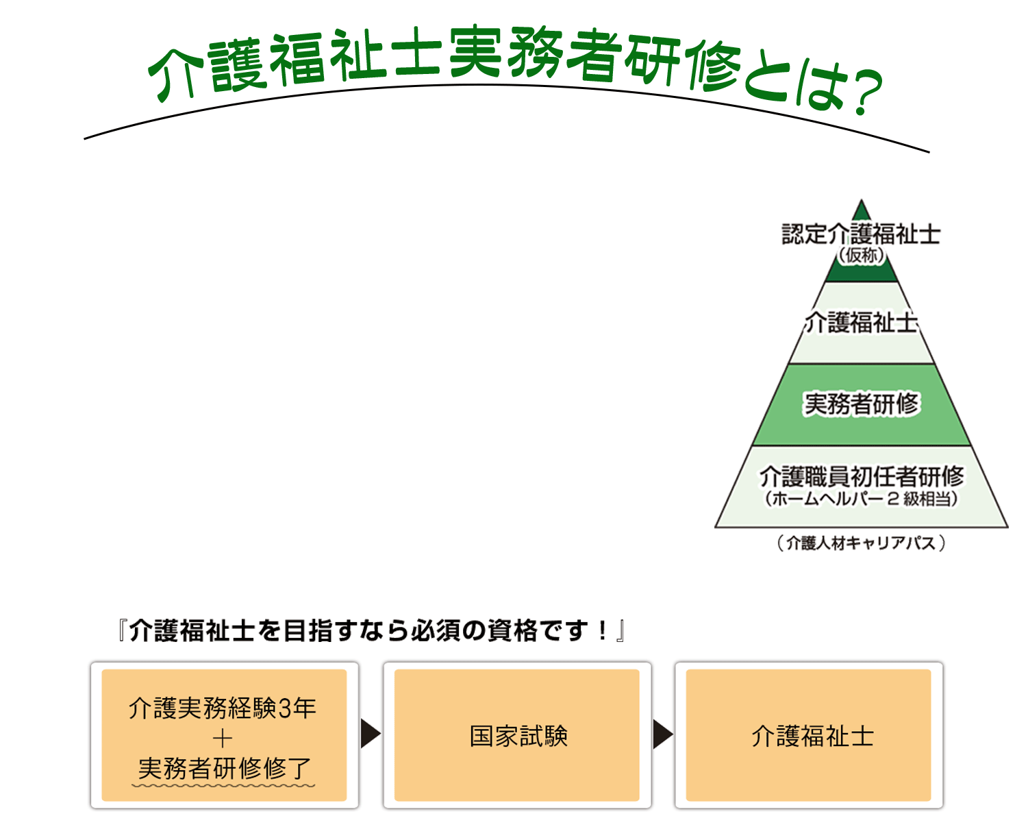 介護福祉士実務者研修とは？